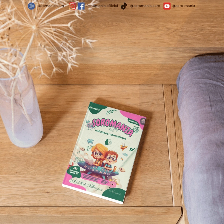 maîtrise de l'arithmétique